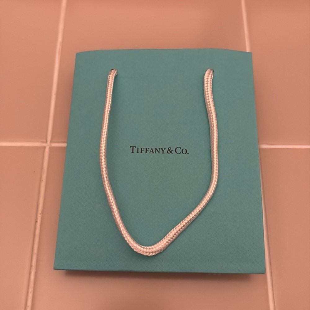 Small Tiffany & Co shopping bag